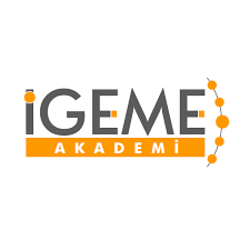 igeme.png